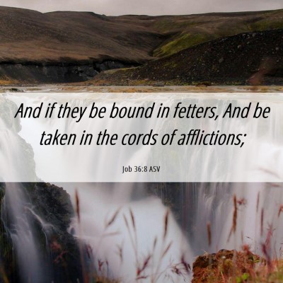 Picture 06 - Job 36:8 ASV - And if they be bound in fetters, And be taken in - Bible Verse Picture
