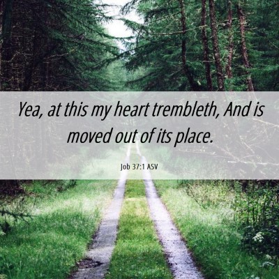 Picture 06 - Job 37:1 ASV - Yea, at this my heart trembleth, And is moved out - Bible Verse Picture