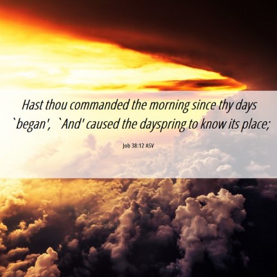 Picture 06 - Job 38:12 ASV - Hast thou commanded the morning since thy days - Bible Verse Picture