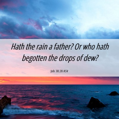 Picture 06 - Job 38:28 ASV - Hath the rain a father? Or who hath begotten the - Bible Verse Picture