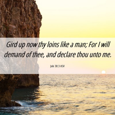 Picture 06 - Job 38:3 ASV - Gird up now thy loins like a man; For I will - Bible Verse Picture