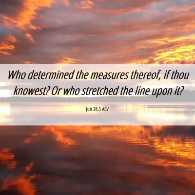 Picture 06 - Job 38:5 ASV - Who determined the measures thereof, if thou - Bible Verse Picture