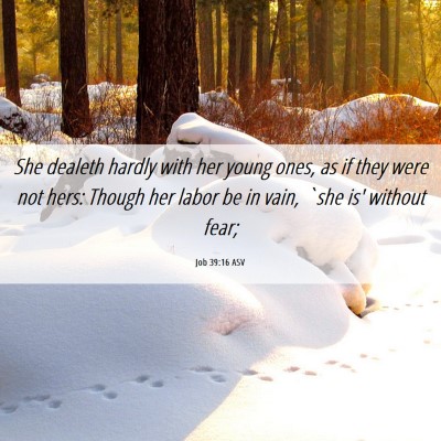Picture 06 - Job 39:16 ASV - She dealeth hardly with her young ones, as if - Bible Verse Picture
