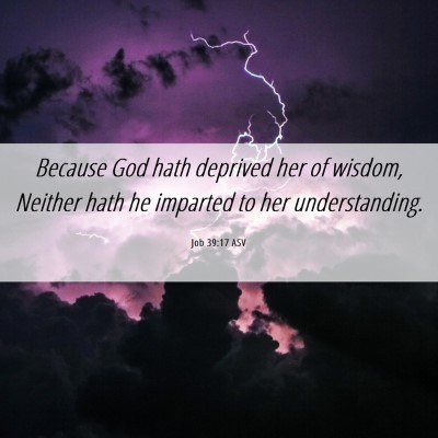 Picture 06 - Job 39:17 ASV - Because God hath deprived her of wisdom, Neither - Bible Verse Picture