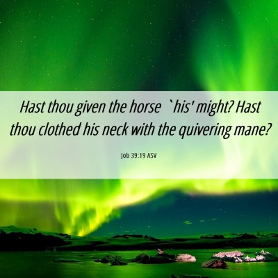 Picture 06 - Job 39:19 ASV - Hast thou given the horse `his' might? Hast thou - Bible Verse Picture