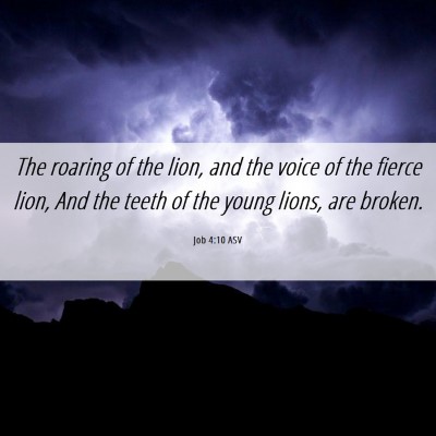 Picture 06 - Job 4:10 ASV - The roaring of the lion, and the voice of the - Bible Verse Picture