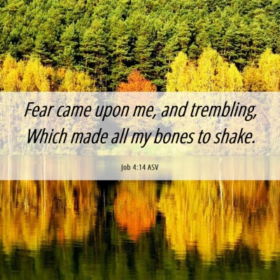 Picture 06 - Job 4:14 ASV - Fear came upon me, and trembling, Which made all - Bible Verse Picture