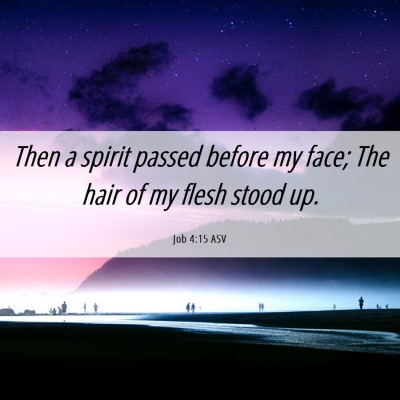 Picture 06 - Job 4:15 ASV - Then a spirit passed before my face; The hair of - Bible Verse Picture
