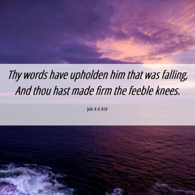 Picture 06 - Job 4:4 ASV - Thy words have upholden him that was falling, And - Bible Verse Picture
