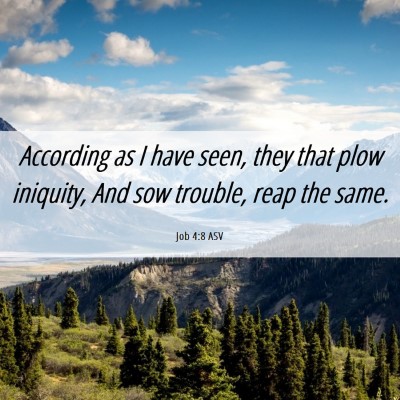 Picture 06 - Job 4:8 ASV - According as I have seen, they that plow - Bible Verse Picture