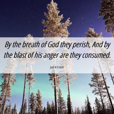 Picture 06 - Job 4:9 ASV - By the breath of God they perish, And by the - Bible Verse Picture