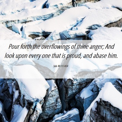 Picture 06 - Job 40:11 ASV - Pour forth the overflowings of thine anger; And - Bible Verse Picture