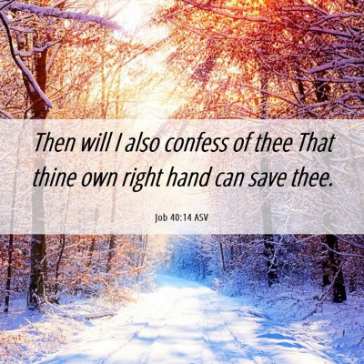 Picture 06 - Job 40:14 ASV - Then will I also confess of thee That thine own - Bible Verse Picture
