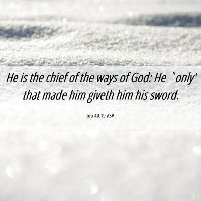 Picture 06 - Job 40:19 ASV - He is the chief of the ways of God: He `only' - Bible Verse Picture