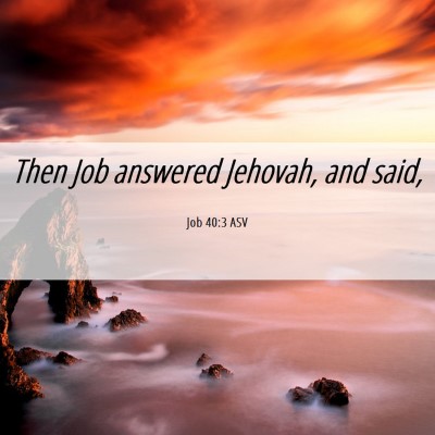 Picture 06 - Job 40:3 ASV - Then Job answered Jehovah, and - Bible Verse Picture