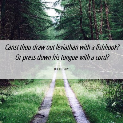 Picture 06 - Job 41:1 ASV - Canst thou draw out leviathan with a fishhook? Or - Bible Verse Picture