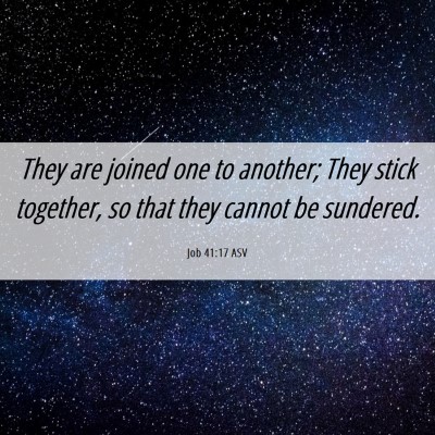 Picture 06 - Job 41:17 ASV - They are joined one to another; They stick - Bible Verse Picture