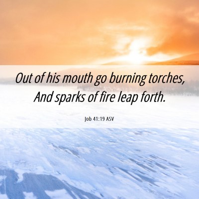 Picture 06 - Job 41:19 ASV - Out of his mouth go burning torches, And sparks - Bible Verse Picture
