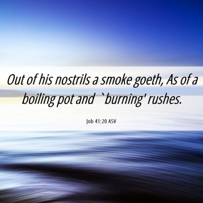 Picture 06 - Job 41:20 ASV - Out of his nostrils a smoke goeth, As of a - Bible Verse Picture