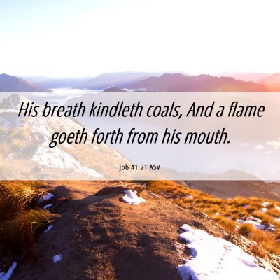Picture 06 - Job 41:21 ASV - His breath kindleth coals, And a flame goeth - Bible Verse Picture