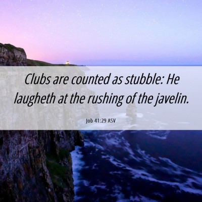 Picture 06 - Job 41:29 ASV - Clubs are counted as stubble: He laugheth at the - Bible Verse Picture