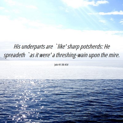 Picture 06 - Job 41:30 ASV - His underparts are `like' sharp potsherds: He - Bible Verse Picture