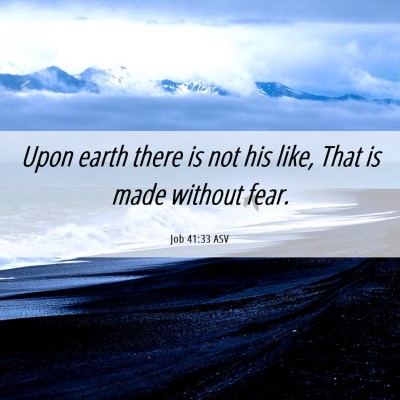Picture 06 - Job 41:33 ASV - Upon earth there is not his like, That is made - Bible Verse Picture