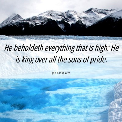 Picture 06 - Job 41:34 ASV - He beholdeth everything that is high: He is king - Bible Verse Picture