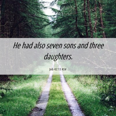 Picture 06 - Job 42:13 ASV - He had also seven sons and three - Bible Verse Picture