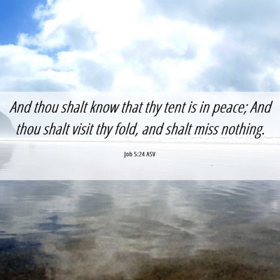 Picture 06 - Job 5:24 ASV - And thou shalt know that thy tent is in peace; - Bible Verse Picture