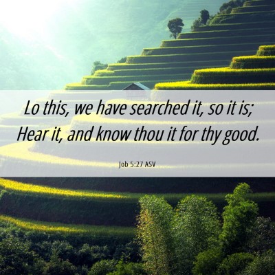 Picture 06 - Job 5:27 ASV - Lo this, we have searched it, so it is; Hear it, - Bible Verse Picture