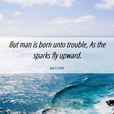Picture 06 - Job 5:7 ASV - But man is born unto trouble, As the sparks fly - Bible Verse Picture