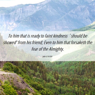 Picture 06 - Job 6:14 ASV - To him that is ready to faint kindness `should be - Bible Verse Picture