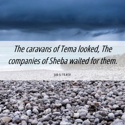 Picture 06 - Job 6:19 ASV - The caravans of Tema looked, The companies of - Bible Verse Picture