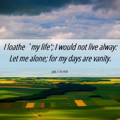 Picture 06 - Job 7:16 ASV - I loathe `my life'; I would not live alway: Let - Bible Verse Picture