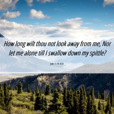 Picture 06 - Job 7:19 ASV - How long wilt thou not look away from me, Nor let - Bible Verse Picture