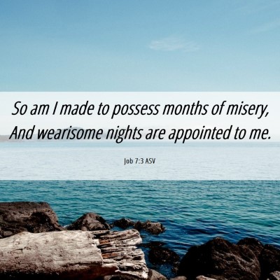 Picture 06 - Job 7:3 ASV - So am I made to possess months of misery, And - Bible Verse Picture