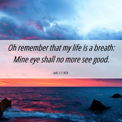 Picture 06 - Job 7:7 ASV - Oh remember that my life is a breath: Mine eye - Bible Verse Picture