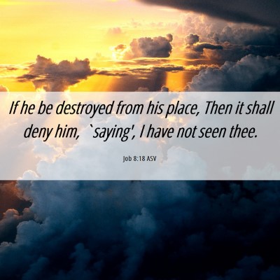 Picture 06 - Job 8:18 ASV - If he be destroyed from his place, Then it shall - Bible Verse Picture