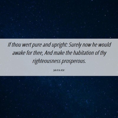 Picture 06 - Job 8:6 ASV - If thou wert pure and upright: Surely now he - Bible Verse Picture
