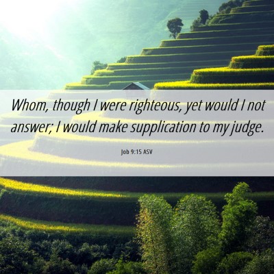 Picture 06 - Job 9:15 ASV - Whom, though I were righteous, yet would I not - Bible Verse Picture