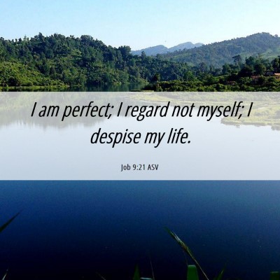 Picture 06 - Job 9:21 ASV - I am perfect; I regard not myself; I despise my - Bible Verse Picture