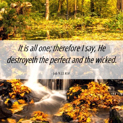 Picture 06 - Job 9:22 ASV - It is all one; therefore I say, He destroyeth the - Bible Verse Picture