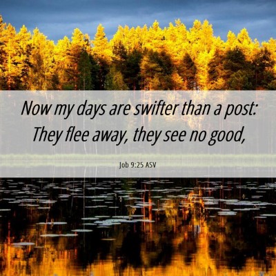 Picture 06 - Job 9:25 ASV - Now my days are swifter than a post: They flee - Bible Verse Picture