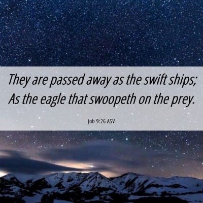 Picture 06 - Job 9:26 ASV - They are passed away as the swift ships; As the - Bible Verse Picture