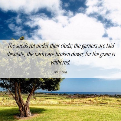 Picture 06 - Joel 1:17 ASV - The seeds rot under their clods; the garners are - Bible Verse Picture