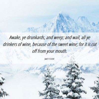 Picture 06 - Joel 1:5 ASV - Awake, ye drunkards, and weep; and wail, all ye - Bible Verse Picture