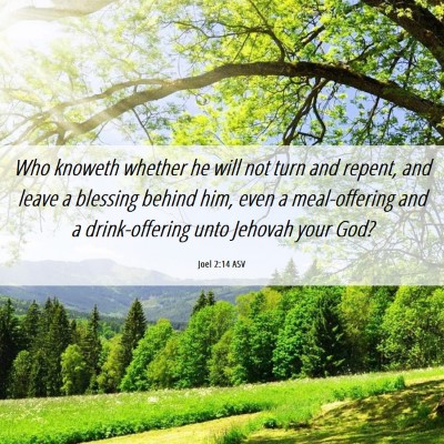 Picture 06 - Joel 2:14 ASV - Who knoweth whether he will not turn and repent, - Bible Verse Picture