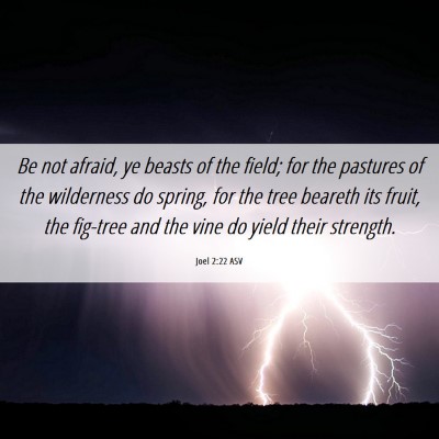 Picture 06 - Joel 2:22 ASV - Be not afraid, ye beasts of the field; for the - Bible Verse Picture