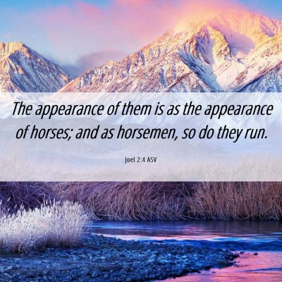 Picture 06 - Joel 2:4 ASV - The appearance of them is as the appearance of - Bible Verse Picture